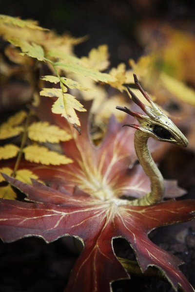 Осенний дракончик