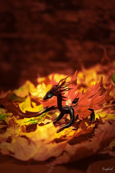 Драконы осенью