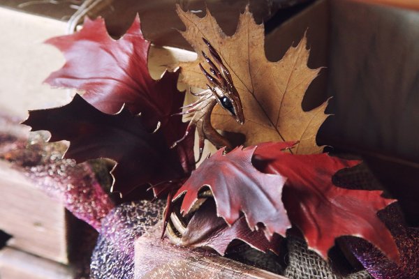 Осенний дракон