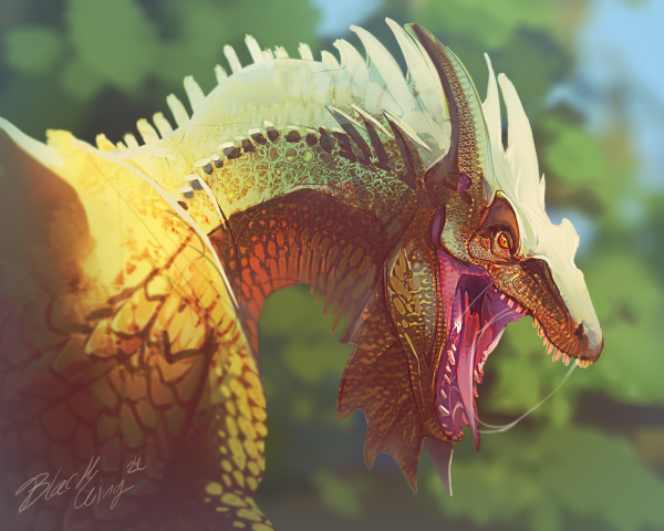 Фэйр дракон