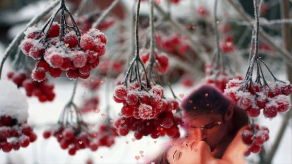 Зимние ягоды в ладонях