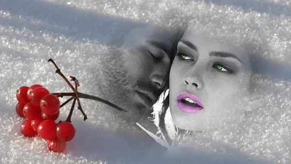 Сердце на снегу