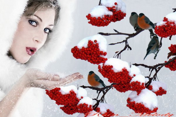 Девушка зимой с рябиной