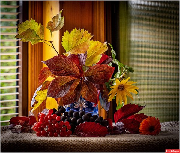 Красивые осенние мотивы