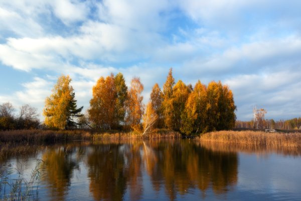 Осенние мотивы картинки