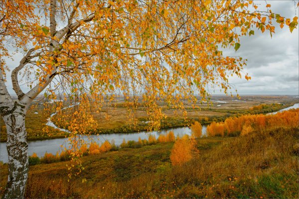 Осенний мотив