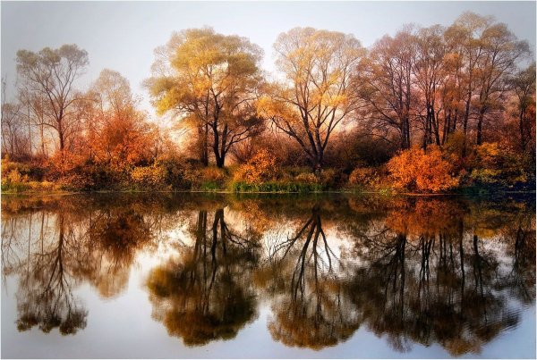 Осенний мотив