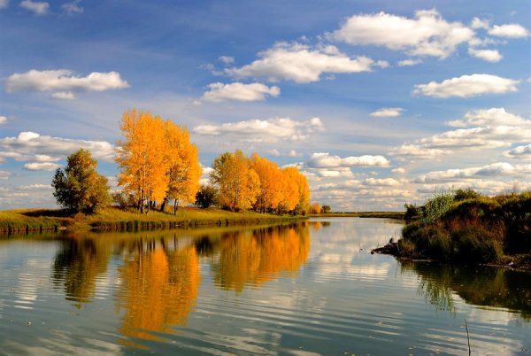 Осенний мотив