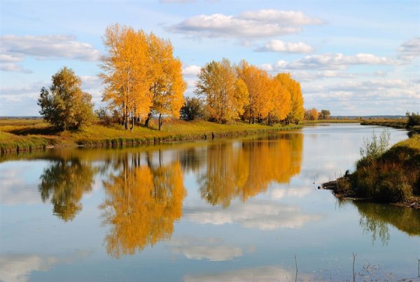 Осенние мотивы картинки про жизнь