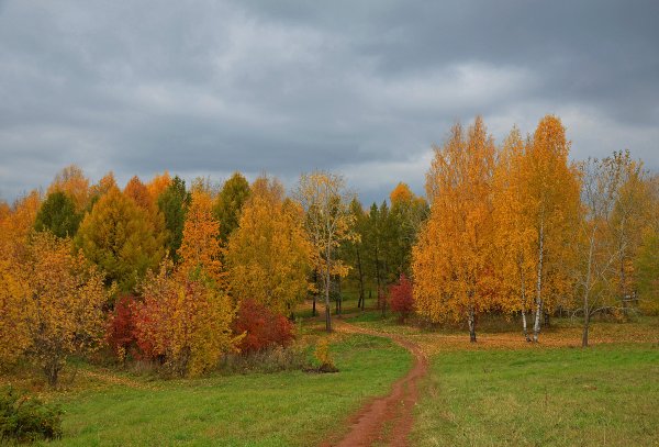 Осенние мотивы картинки