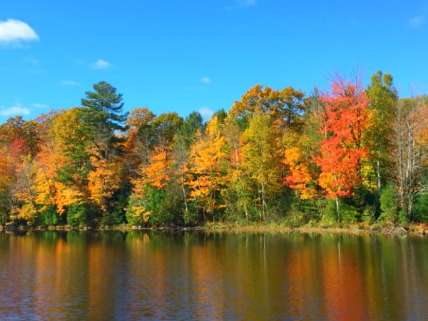 Осенние мотивы картинки