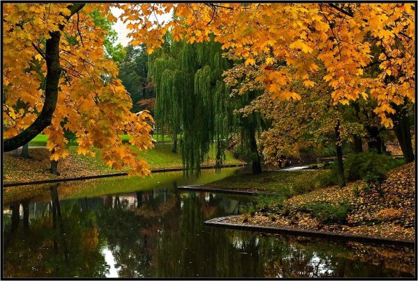 Красивые осенние мотивы