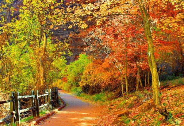 Напечатать фото осень