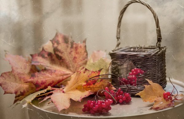 Осенний мотив