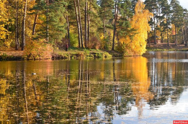 Парк серебряный Бор осенью