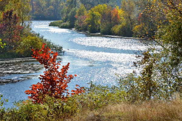 Осенние мотивы фото