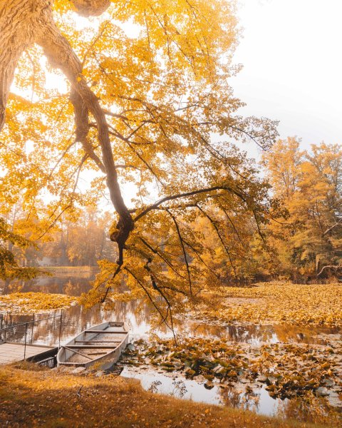 Красивые осенние мотивы