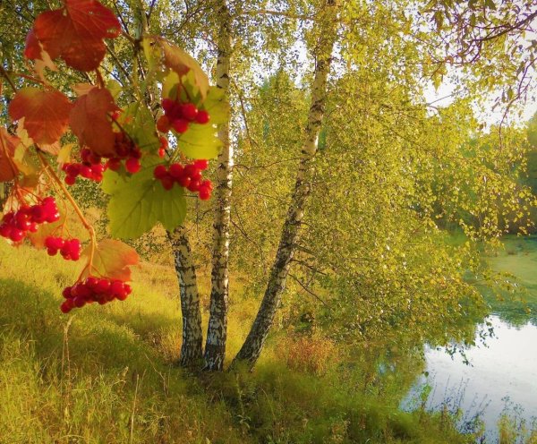 Осень бабье лето