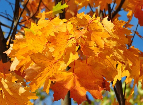 Осенний период