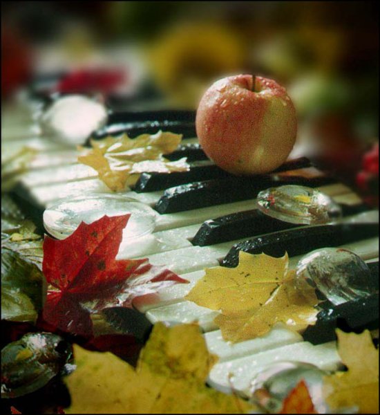 Прекрасный осени мотив