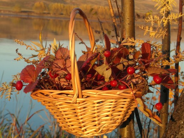 Осенний букет