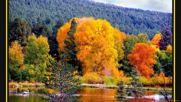 Красивые осенние мотивы