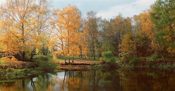 Как хороша жизнь и осенние мотивы