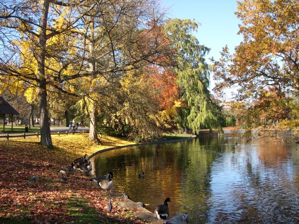 Красивые осенние мотивы