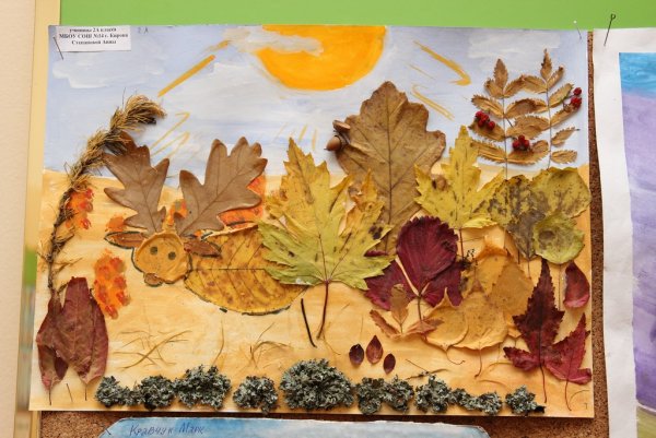 Картина из природного материала для детского сада