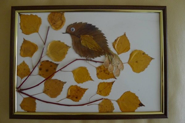 Панно из природного материала для детей