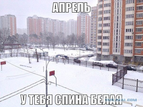 Снег в апреле приколы