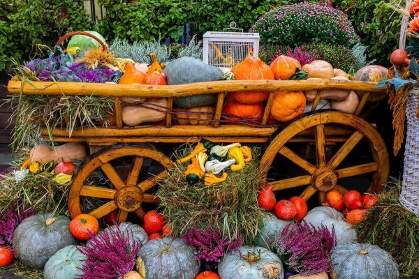 Осенняя ярмарка