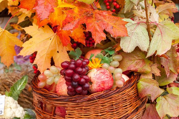 Осенняя ярмарка осень