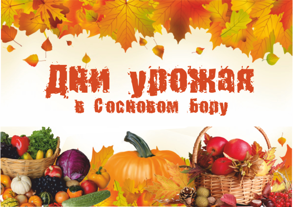 Плакат дары осени ярмарка