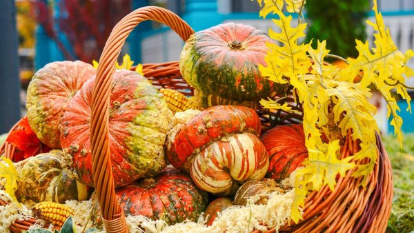 Осенняя ярмарка