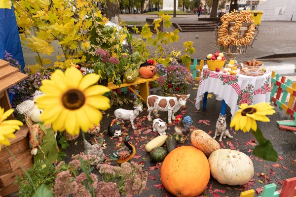 Сельскохозяйственная ярмарка Золотая осень