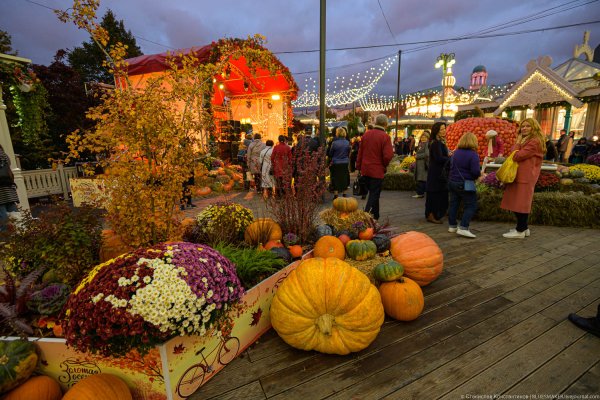 Золотая осень Агро