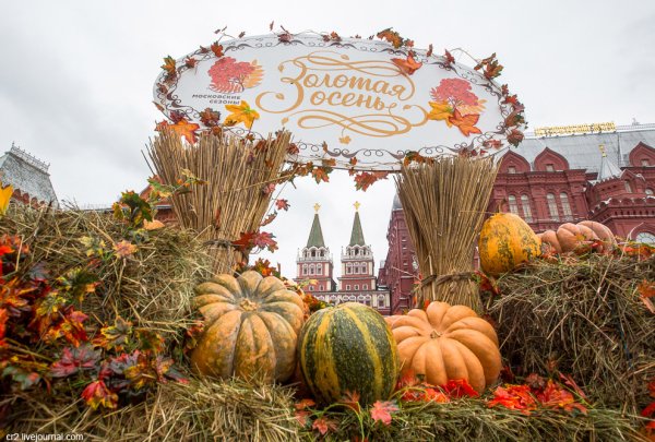 Золотая осень ярмарка в Москве