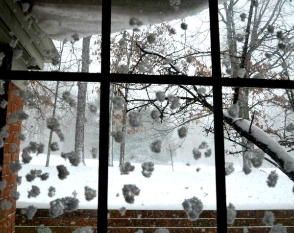 Первый снег за окном
