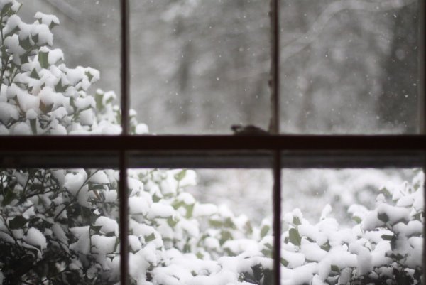 Мокрый снег за окном