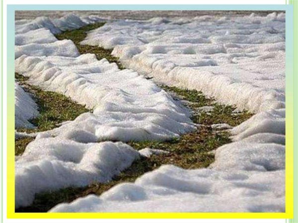 Весенние явления природы для детей