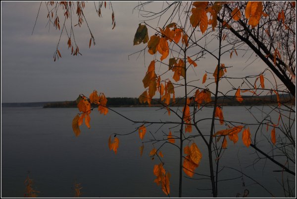 Осень грусть