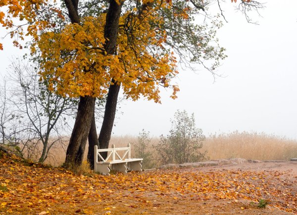 Унылый осенний пейзаж