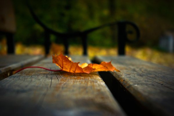 Осень одиночество