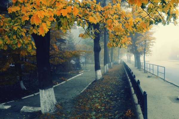 Грустная осень