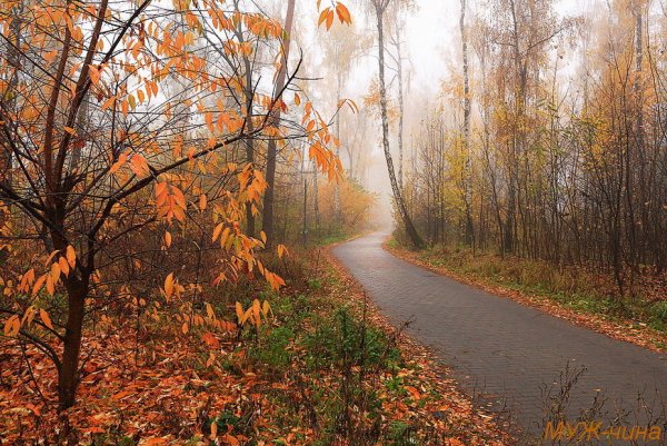 Осень грустная осень