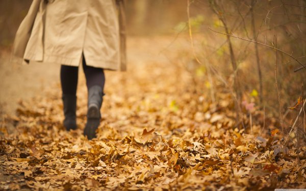 Осенняя грустинка