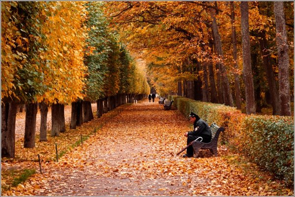 Грустить в осеннем городе