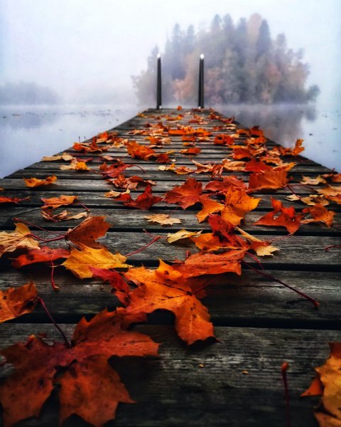 Печальная осень