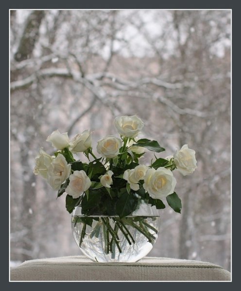 Букет на окне зима